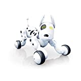 RCTecnic Perro Robot para Niños Buddy Interactivo Mascota, Sabe Cantar, Bailar y Tiene Movimiento Teledirigido, Ojos con LED, con Batería y Cable Cargador USB